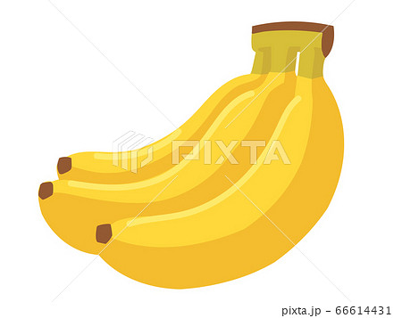 バナナの手描きイラストのイラスト素材