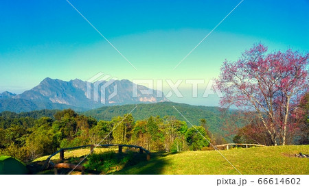 doi luang chiang dao chiangmai thailand doi luang chiang dao chiangmai thailand 66614602