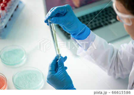 Mixing samples in test tube Mixing samples in test tube 66615586