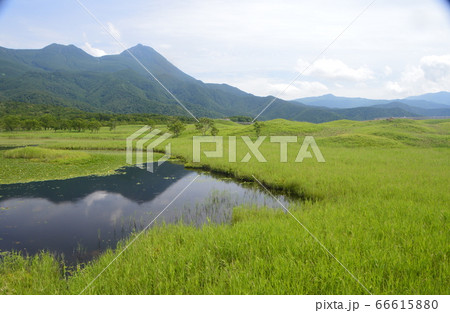 知床五湖の「一湖」(北海道斜里郡斜里町) 知床五湖の「一湖」(北海道斜里郡斜里町) 66615880