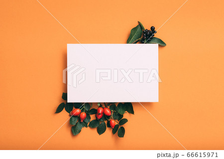 white blank paper birthday rose hip festive decor 66615971