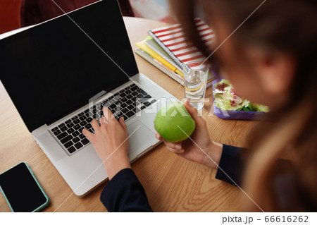 Female hands with apple over laptop keyboard 66616262