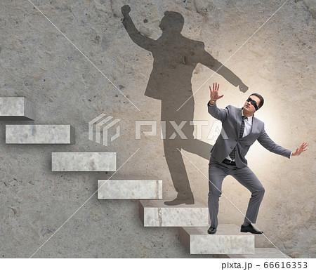 Businessman and his shadow in business concept Businessman and his shadow in business concept 66616353