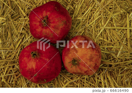 Three red pomegranates on the dry grass Three red pomegranates on the dry grass 66616490