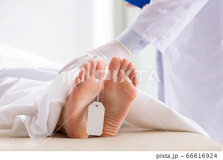 Police coroner examining dead body corpse in morgue 66616924