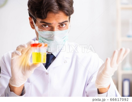 Young handsome chemist working in the lab 66617092