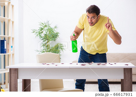 Young man and a lot of cockroaches at home 66617931