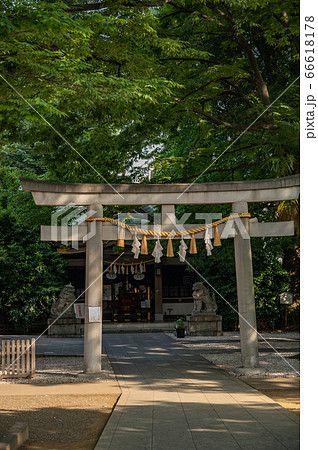 雑司ヶ谷大鳥神社境内恵比寿神社社 66618178