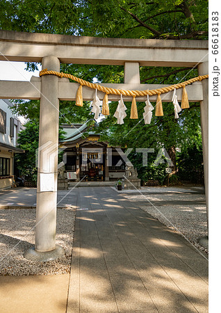 雑司ヶ谷大鳥神社境内恵比寿神社社 雑司ヶ谷大鳥神社境内恵比寿神社社 66618183