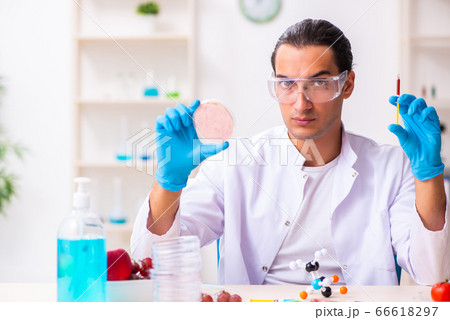 Young male nutrition expert testing food products in lab 66618297