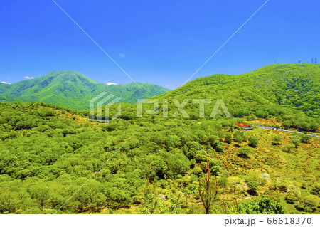 新緑の黒檜山と地蔵岳 66618370