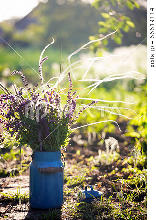 Milk churn with wild flowers Milk churn with wild flowers 66619114