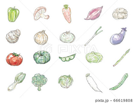 野菜セット 手描き風 水彩画風 オシャレのイラスト素材