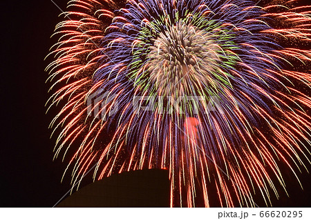 横浜のホテルの上に上がる大きな花火 66620295