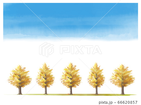 秋イメージ おしゃれなイチョウ並木の水彩紅葉イラストのイラスト素材