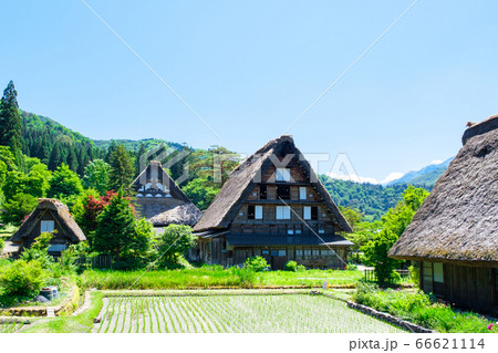 初夏の白川郷(昼) 初夏の白川郷(昼) 66621114