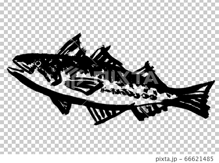 Suketo Udara watercolor painting 66621485