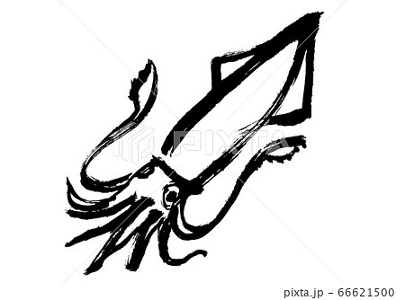 やりいか　水彩画 66621500