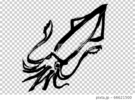 やりいか　水彩画 66621500