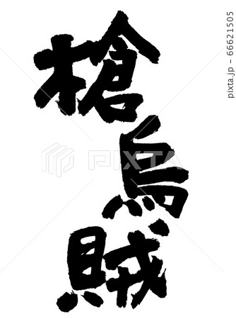 やりいか　槍烏賊　筆文字 66621505