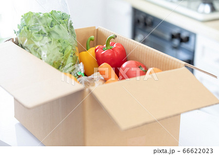段ボール箱に入った新鮮野菜（人物なし） 66622023