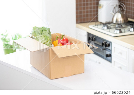 段ボール箱に入った新鮮野菜（人物なし） 66622024