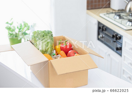 段ボール箱に入った新鮮野菜（人物なし） 66622025