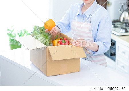 段ボール箱に入った新鮮野菜を取り出す女性(顔無し) 段ボール箱に入った新鮮野菜を取り出す女性(顔無し) 66622122