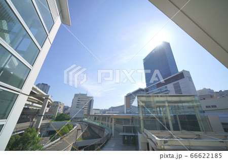 日本の横浜都市景観 横浜駅・JR横浜タワーなどを望む 日本の横浜都市景観 横浜駅・JR横浜タワーなどを望む 66622185