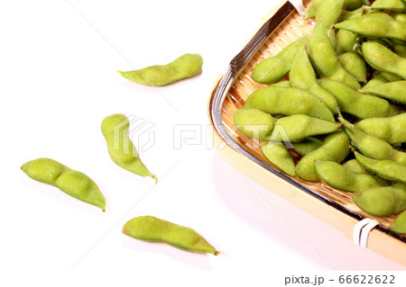 枝豆　だだちゃ豆 66622622