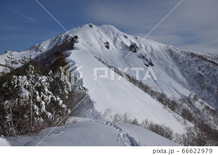 雪の白毛門 松ノ木沢の頭から見た山頂へ続く雪稜と白毛門山山頂 雪の白毛門 松ノ木沢の頭から見た山頂へ続く雪稜と白毛門山山頂 66622979