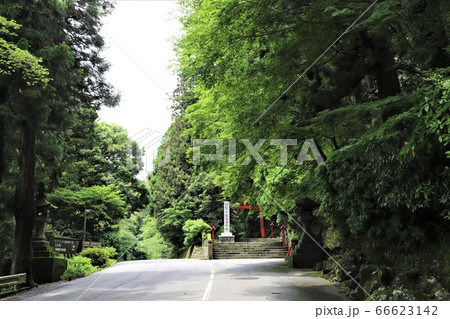 箱根神社　参道 66623142
