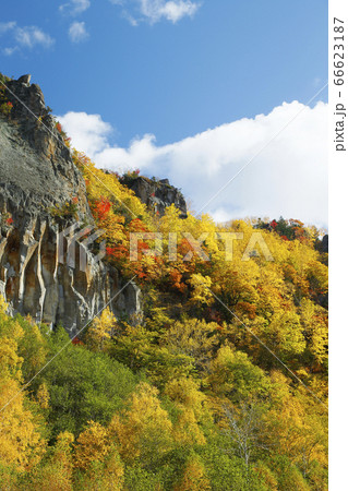 層雲峡の紅葉 層雲峡の紅葉 66623187