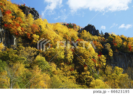 層雲峡の紅葉 66623195