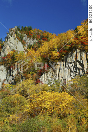 層雲峡の紅葉 層雲峡の紅葉 66623200