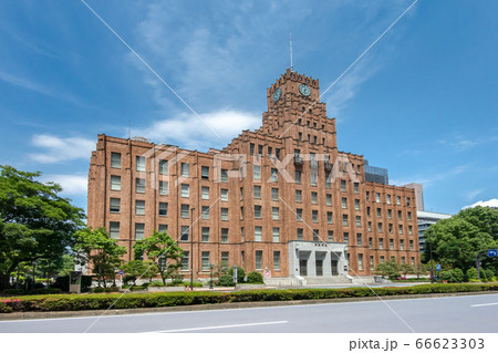 市政会館 66623303