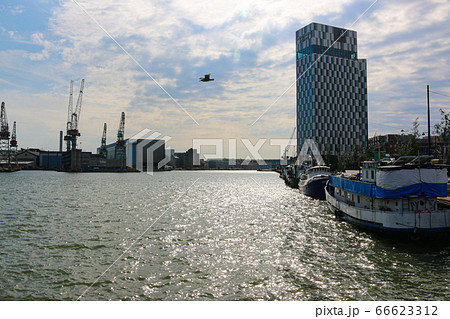 フィンランド ヘルシンキの港 フィンランド ヘルシンキの港 66623312