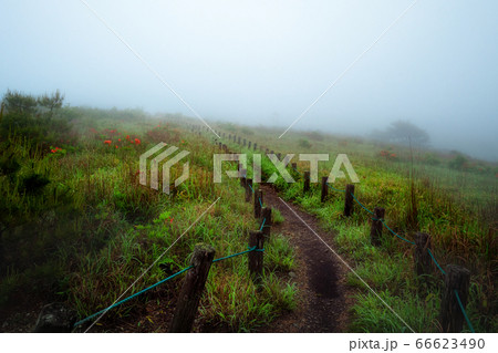 霞む朝の高原 66623490