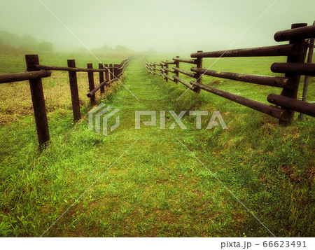 霞む朝の高原 霞む朝の高原 66623491