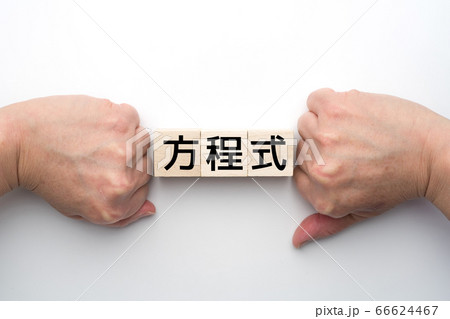 イメージ　方程式 66624467