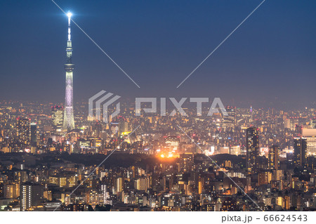 《東京都》東京都市夜景・スカイツリーを望む 66624543