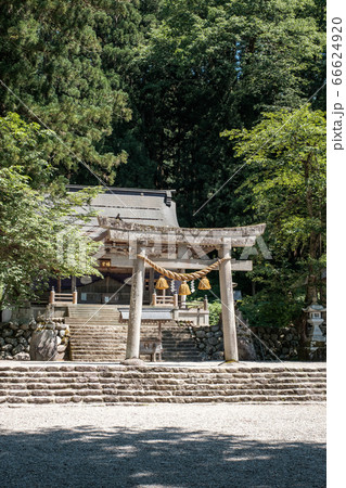 白川八幡神社(白川郷) 白川八幡神社(白川郷) 66624920