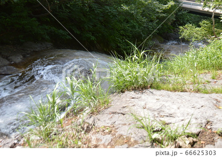 カムイワッカ湯の滝（知床半島／北海道斜里郡斜里町） 66625303