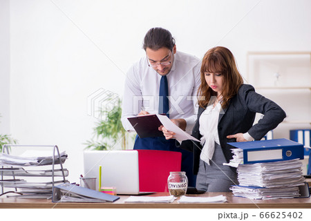 Two employees working in the office 66625402