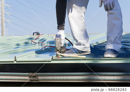 屋根のガルバリウム鋼板にネイルガンで釘を打つ作業 66626283