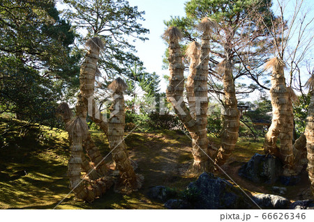 観月の名所桂離宮 66626346