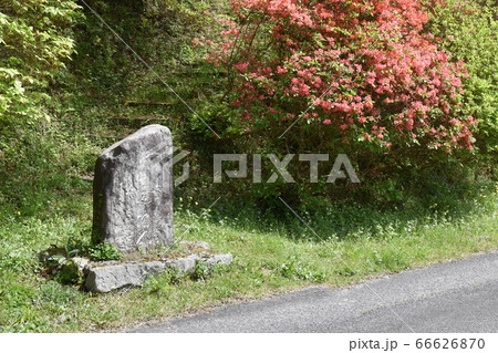 中山道の蛇石 66626870