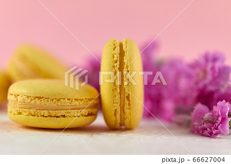sweet macarons dessert sweet macarons dessert 66627004