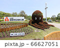 国営明石海峡公園のたこさん 66627051