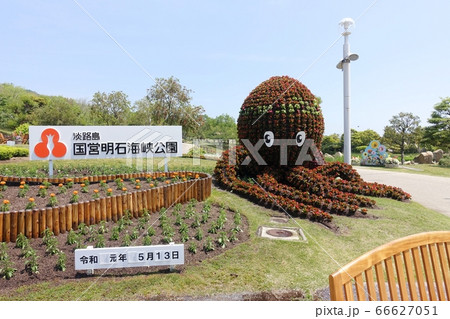 国営明石海峡公園のたこさん 66627051